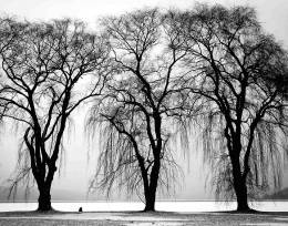 Black and white