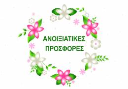 Spring Offer