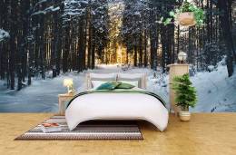 Snow Trees