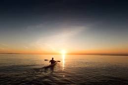 Paddle