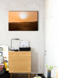 Arid Barren