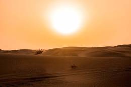 Desert