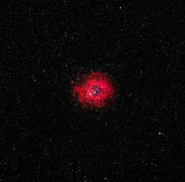 Stars Red