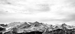 Alpine