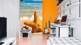 Starfish