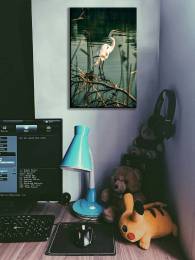 Animal Portrait