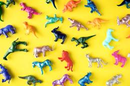 Animals