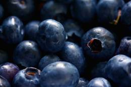 Antioxidant Berries