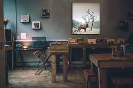 Deer