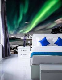 Arctic Aurora