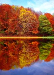 Artwork Beautiful