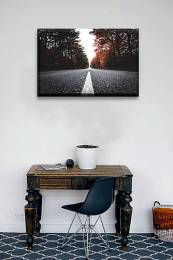 Asphalt Conifers