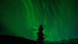 Aurora Green