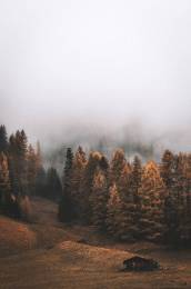 Autumn Clouds