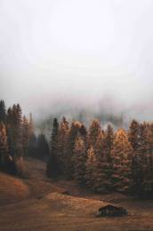 Autumn Clouds