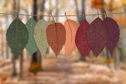 Autumn Decoration