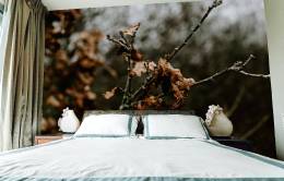 Autumn Leaves