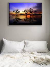 Trees Sunset