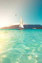 Beach Bird Boat