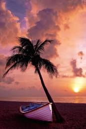 Beach Boat Coast