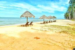 Beach Chairs