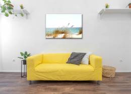 Beach Dune