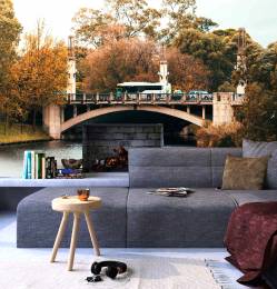Beautiful Bridge