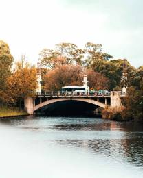 Beautiful Bridge