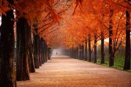 Beautiful Path