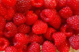 Berries