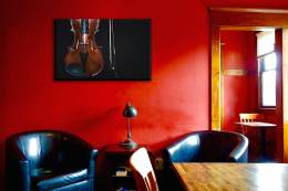 Violin