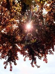 Bright Daylight