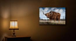 Bull