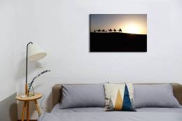 Desert Camels