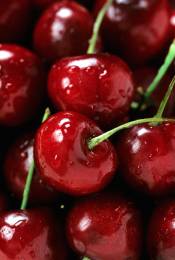 Cherries Close Up