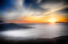 Fog