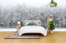 Snow Forest