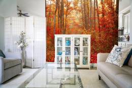 Colors of Autumn