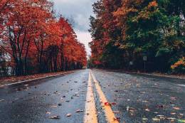 Colors of Autumn