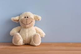 Cuddly Toy