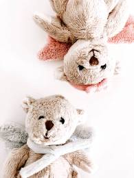 Cute Downy Fur