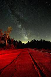 Dark Galaxy