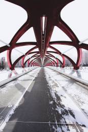 Red Road