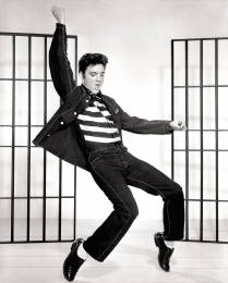 Elvis