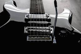 Electric Guitar