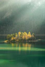 Lake Trees