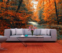 Maple Trees Path