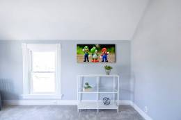 Mario Bros