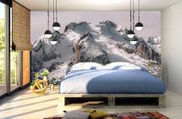 Snowy Forest