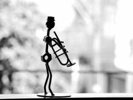 Musician